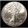 Image 1 : 2010 AMERICAN SILVER EAGLE