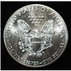 Image 2 : 2015 AMERICAN SILVER EAGLE