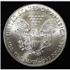Image 2 : 2016 AMERICA SILVER EAGLE