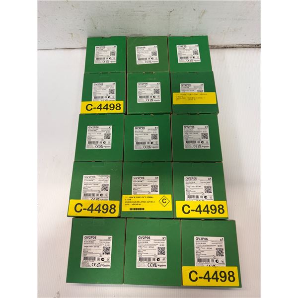 Lot of (15) Schneider Electric #GV2P06 Circuit Breakers