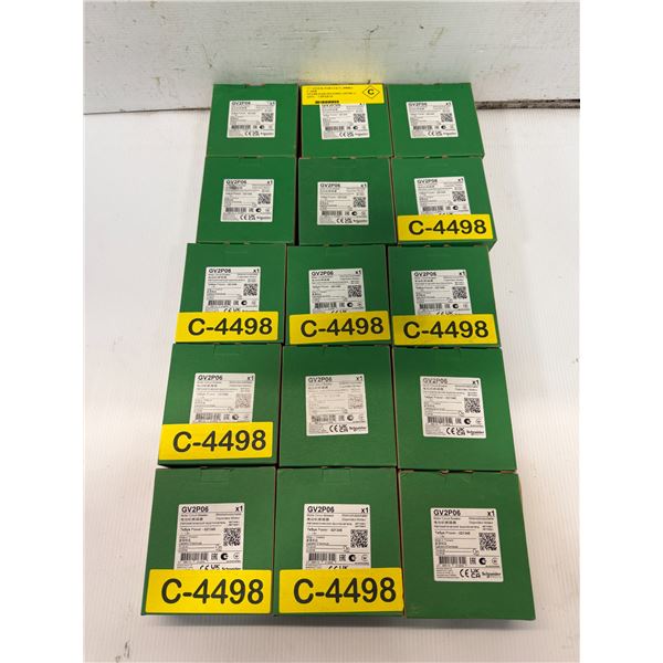 Lot of (15) Schneider Electric #GV2P06 Circuit Breakers