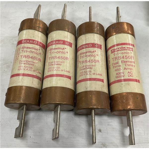 (4) Gould #TRS450R Fuses
