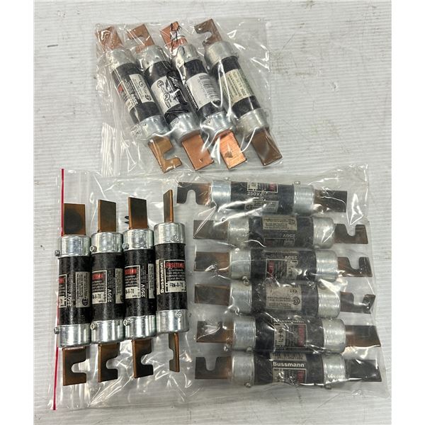 Lot of (14) #FRN-R-100 & FRN-R-70 Fuses