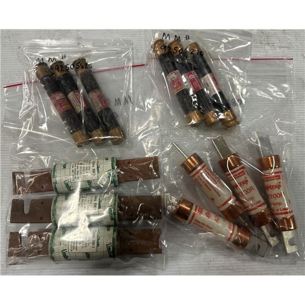 Lot of (13) Assorted Fuses