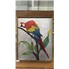 Image 1 : FRAMED ARTWORK BY RICHARD J. SMITH TITLED "RED AND YELLOW MACAW" 17" X 21"