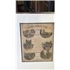 Image 3 : (2) FRAMED PRINTS