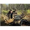 Image 3 : Alberta moose, 2 bears & wolf combo