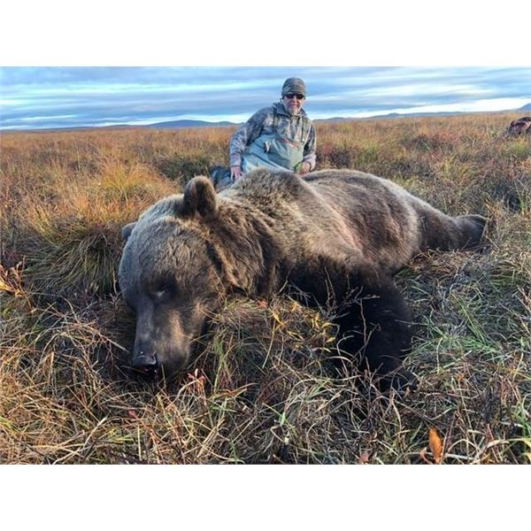 Alaska Grizzly Bear Hunt for 2 Hunters
