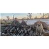 Image 1 : Nebraska Waterfowl Hunt for 3 hunters