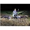 Image 2 : Thermal Hog & Coyote Hunt for 2 Hunters in SW Oklahoma