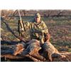 Image 6 : Thermal Hog & Coyote Hunt for 2 Hunters in SW Oklahoma