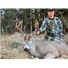 Image 2 : Trophy Whitetail Hunt in Alberta