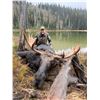 Image 1 : Idaho Guided Moose Hunt