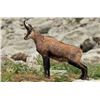 Image 2 : New Zealand Chamois & Tahr Combo Hunt