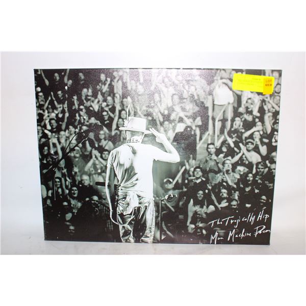 THE TRAGICALLY HIP FRAMED CANVAS PHOTO