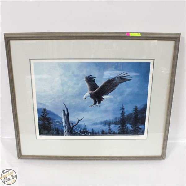 FRAMED PRINT OF BALD EAGLE BY MARLA WILSON