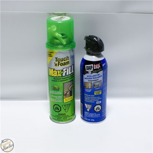 DAP & MAX FOAM SPRAY (NEW)