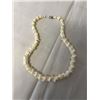 Image 1 : VERTEBRAE BONE BEADS NECKLACE GRADUTED 15" LENGTH CHOKER