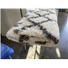 Image 3 : APPROX 4x5 AREA CARPET