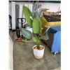 Image 1 : FAKE TREE IN DECORATIVE BASKET