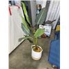 Image 2 : FAKE TREE IN DECORATIVE BASKET