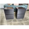 Image 1 : PAIR OF 2 DRAWER NIGHT STANDS