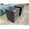 Image 2 : PAIR OF 2 DRAWER NIGHT STANDS