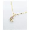 Image 2 : 10KT YELLOW GOLD CZ (0.37CT) FLOWER DESIGN PENDANT WITH GOLD PLATED STERLING SILVER CHAIN, W/A $680.