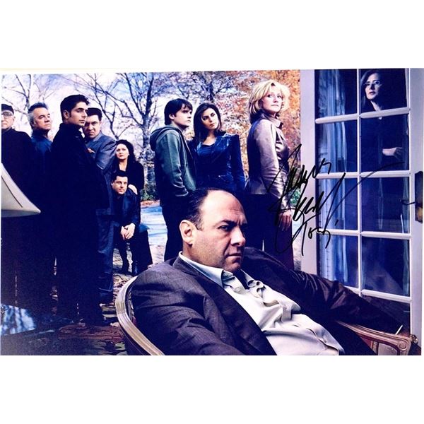 The Sopranos James Gandolfini facsimile signed photo