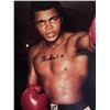 Image 1 : Muhammad Ali facsimile signed photo