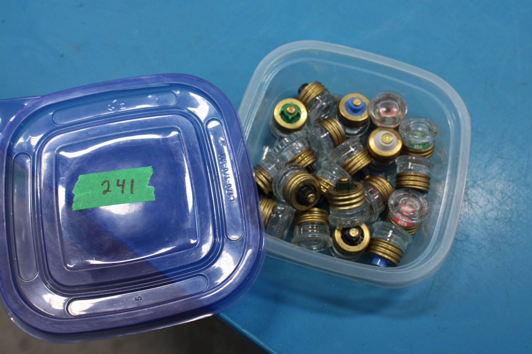 Screw-In Fuses for Fuse Panel in Plastic Storage Container