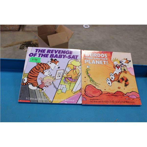 Two Calvin and Hobbes paperback books authored by Bill Watterson