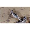 Image 3 : Dainty sterling silver necklace marked