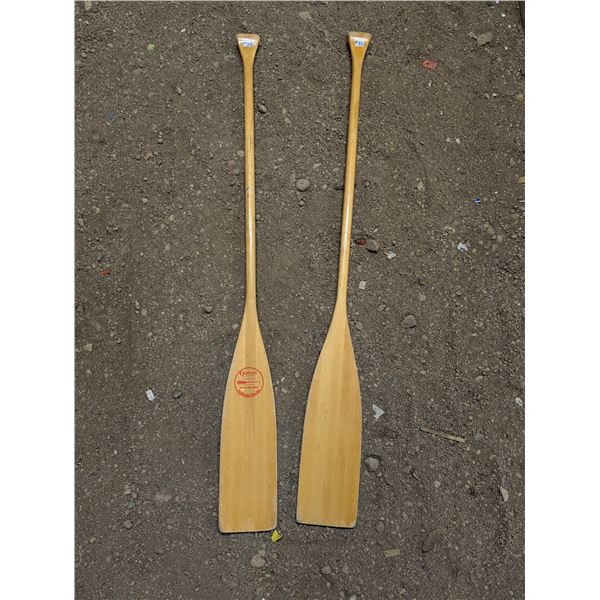 Canoe paddles (2)