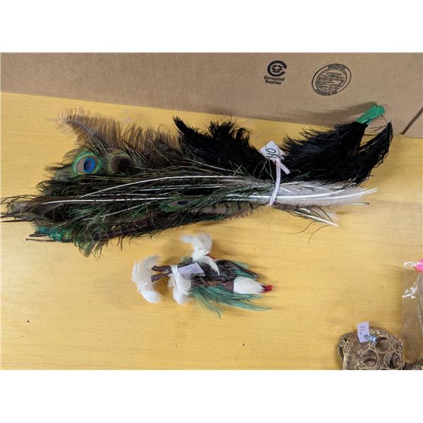 Lot plumes and feather corsage