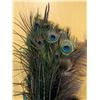 Image 5 : Lot plumes and feather corsage
