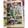 Image 5 : Lot of various comics