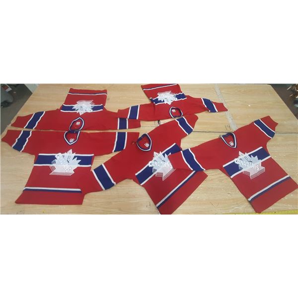 (5) Canadian Zone 2 Team Sweater Youth. (Minor Holes/Thread Comes Out From Sholder Side)
