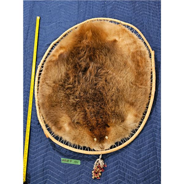 Stretched Beaver Pelt
