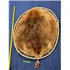 Image 1 : Stretched Beaver Pelt