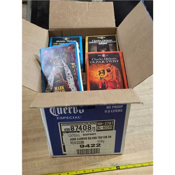 Lot of pocket books