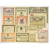 Image 1 : Banking, Finance & Savings Instruments  Stock Certificate Assortment, 1900s to 1930s
