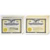 Image 1 : NV. Southwest Honey Producers Syndicate, Inc., 1927, I/U and Remainder Stock Certificate Assortment.
