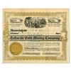 Image 1 : AZ. Telluride Gold Mining Co., 1904, I/U Stock Certificate.