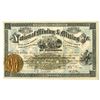 Image 1 : CO. National Mining & Milling Company of Colorado, 1880 I/U Stock Certificate