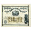 Image 1 : CO. Paris Consolidated Mining Co., 1882, I/U Stock Certificate.