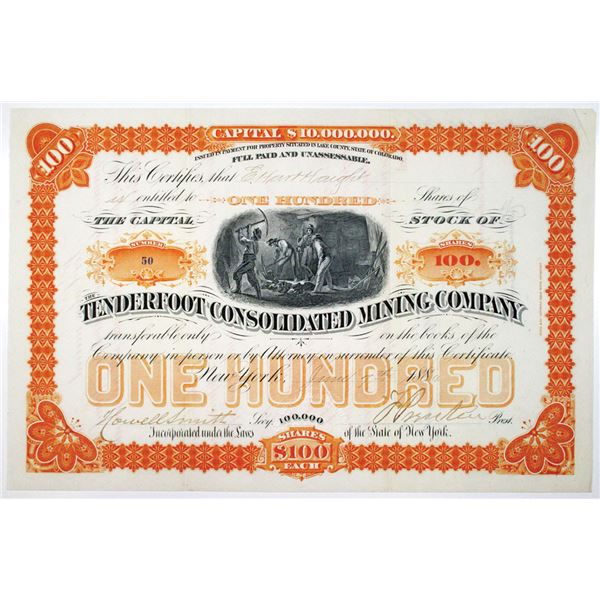 CO. Tenderfoot Consolidated Mining Co. 1880 I/U Stock Certificate