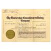 Image 1 : Colorado. Horseshoe Consolidated Mining Co., 1902, I/U Stock Certificate.