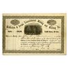 Image 1 : NV. McMahon & Irvine Consolidated Mining and Milling Co., 1881, I/U Stock Certificate