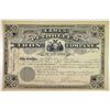 Image 1 : NY. Eames Petroleum Iron Co., 1882 25 Shares I/U Capital Stock Certificate, VF